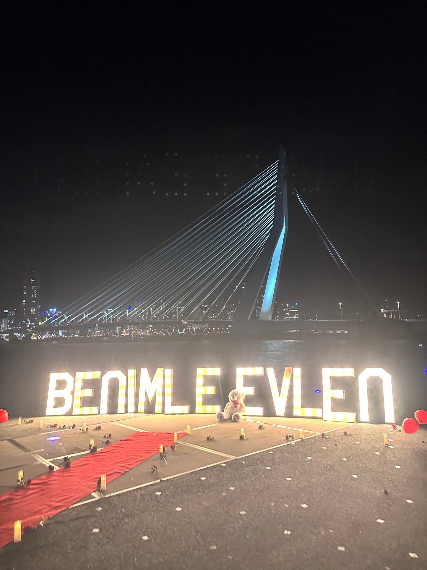 Erasmusbrug