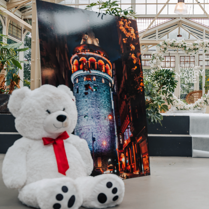 Grote Teddybeer